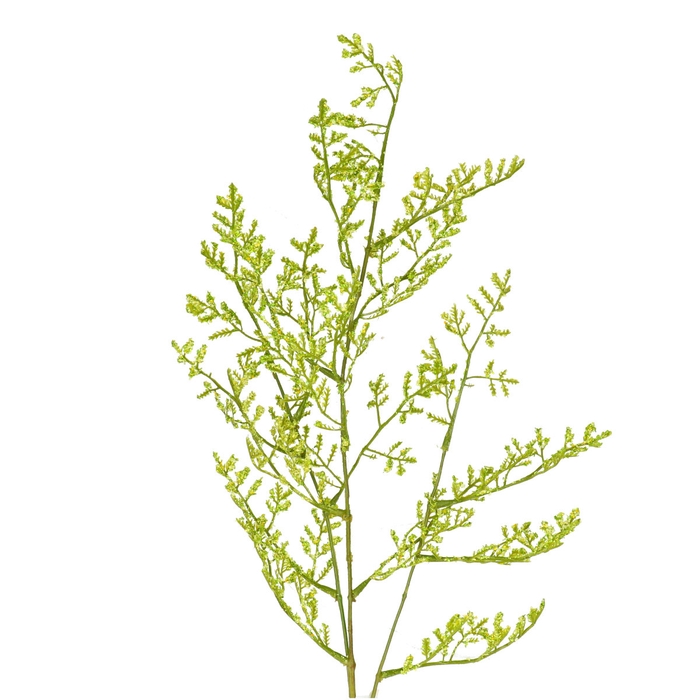 <h4>Opruiming Limonium spray 90cm</h4>