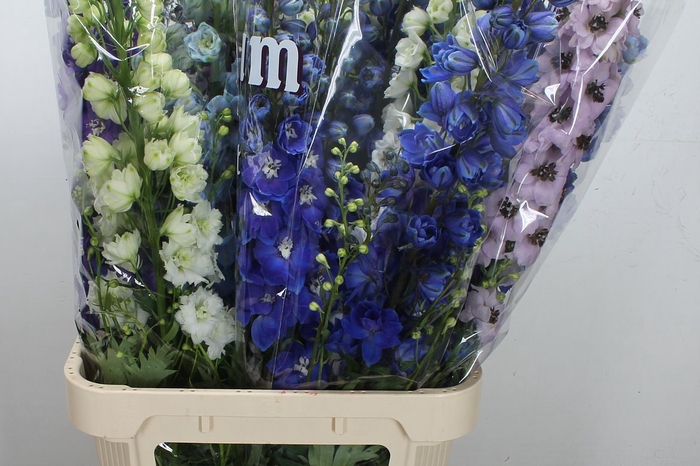 <h4>Delph Du Gemengd 110cm</h4>