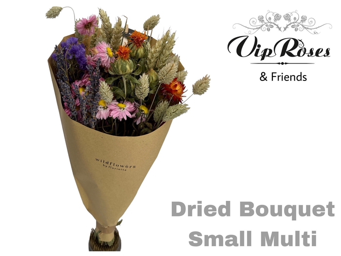 <h4>Dried Bouquet Small Multi X12</h4>
