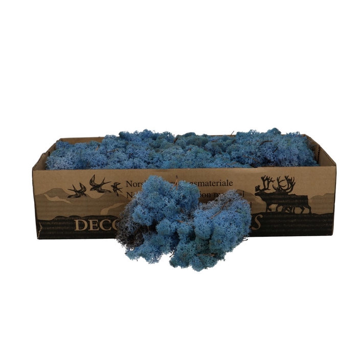 <h4>Dried articles Reindeermoss 400-500g</h4>