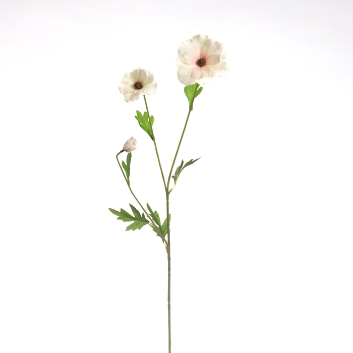 <h4>Af Anemoon 3bloem L60cm Creme</h4>