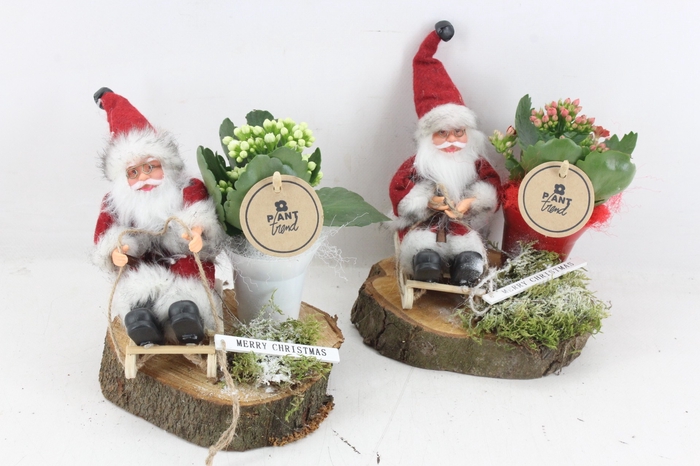 <h4>arr2 PL - Hout schijf kerstman slee kal. mix</h4>