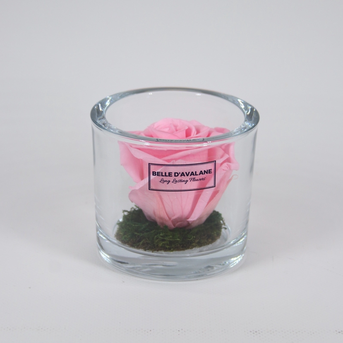 Cilinder d9x8h roze roos glas