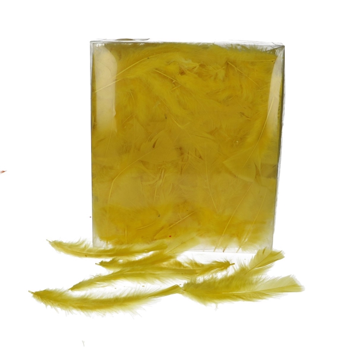 <h4>Veren Kalkoenveren 45g</h4>