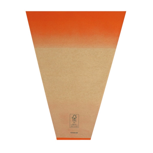 <h4>Hoezen Kraft Elm 40*30*12cm x50</h4>
