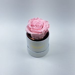 Box rd 8cm wit-roze