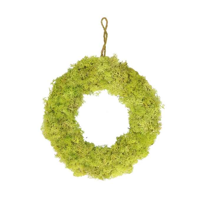 <h4>Krans d30cm Reindeer moss</h4>