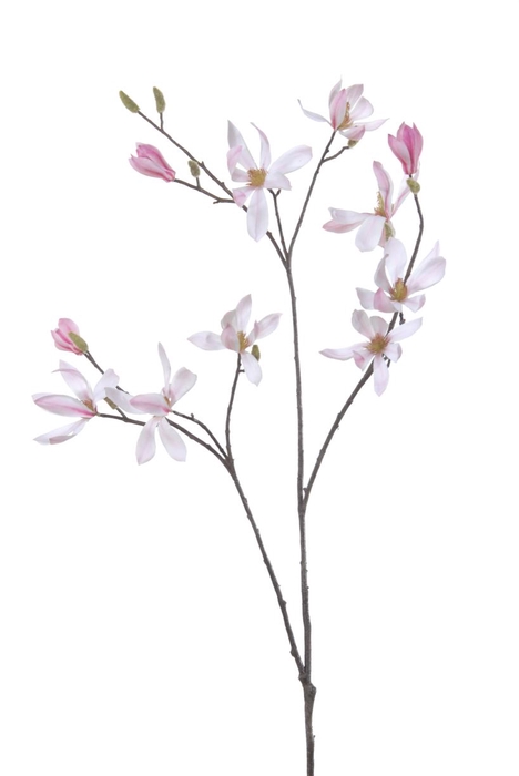<h4>Af Magnolia L100cm Roze</h4>