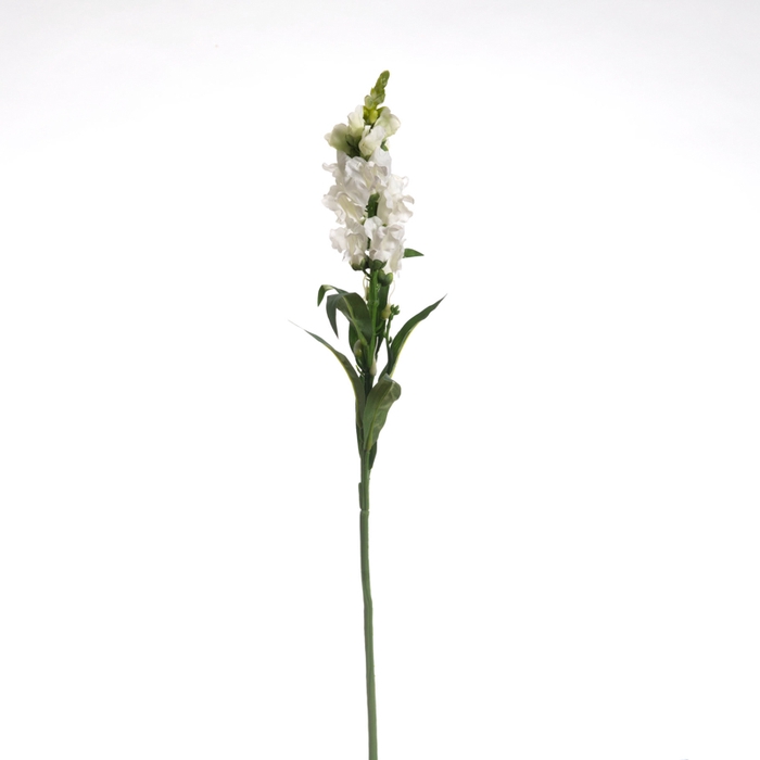 <h4>Af Leeuwebek L60cm Creme</h4>