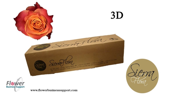 <h4>Rosa la 3D</h4>