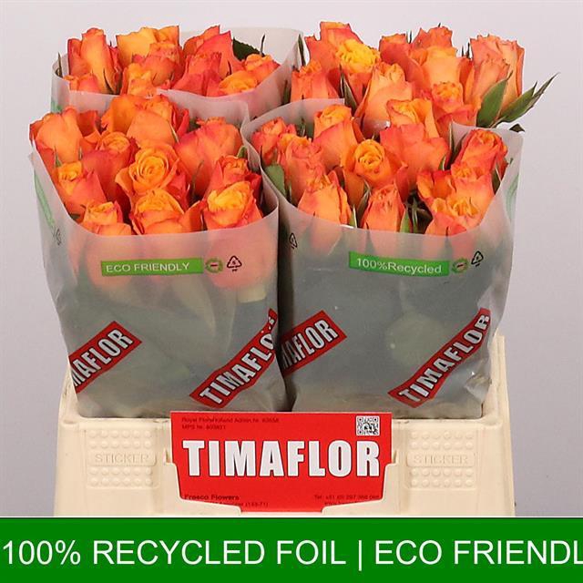 <h4>Rosa la confidential</h4>