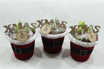 <h4>8114 POT SANTA ROOD!!</h4>