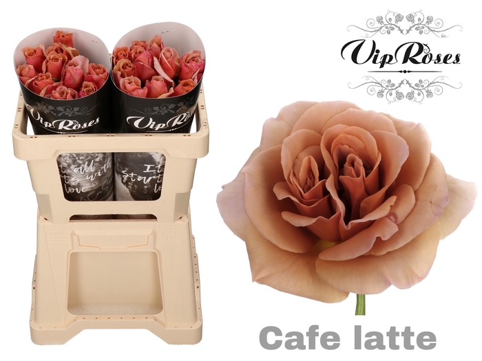 Vip Roses Webshop