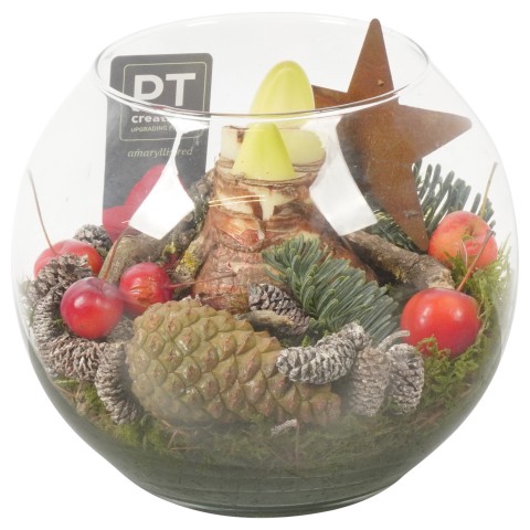 <h4>PTACH7984 Arrangementen Kerst</h4>