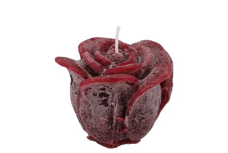 <h4>Kaars Roos Bordeaux 8x7cm</h4>