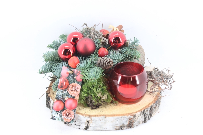 <h4>arr5 Kerst MB461 - Hout schijf 1 bo</h4>