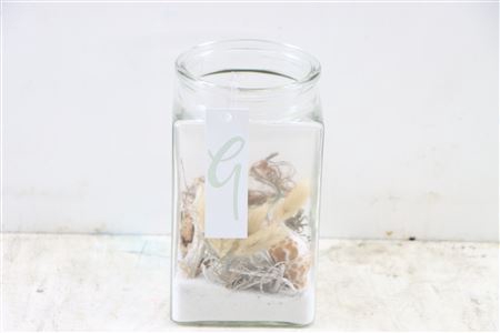 <h4>Arr Glass Candy Jar White Sand And Shells</h4>
