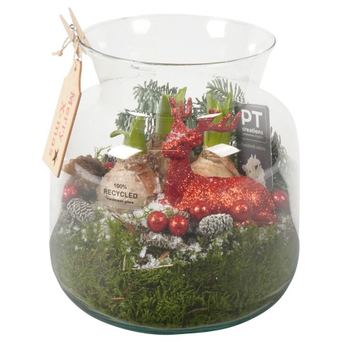 <h4>PTHCC8687 Arrangementen Kerst</h4>
