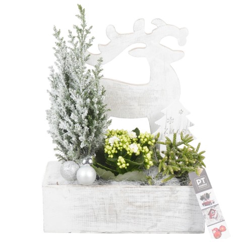 <h4>PTCHS7379 Arrangementen Kerst</h4>