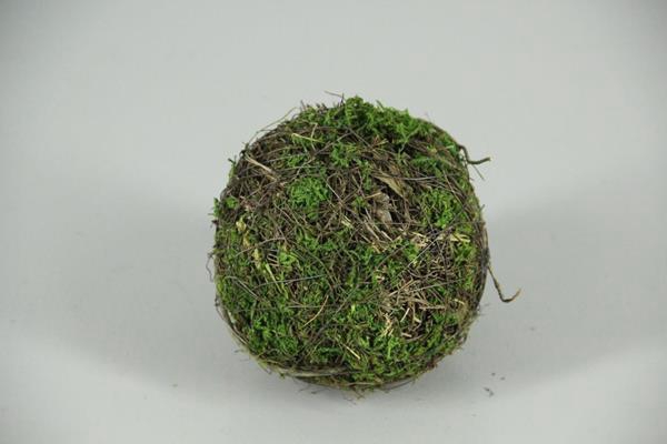 <h4>Ball Salim+moss 12cm</h4>