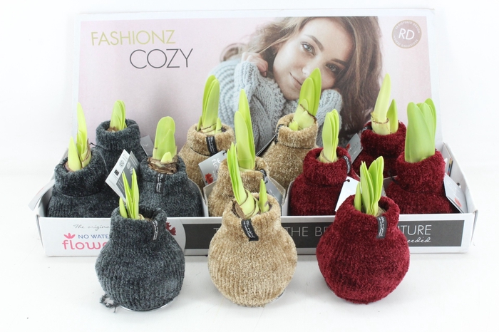 <h4>arr4 Amaryllis VH - Fashionz cozy teddy</h4>