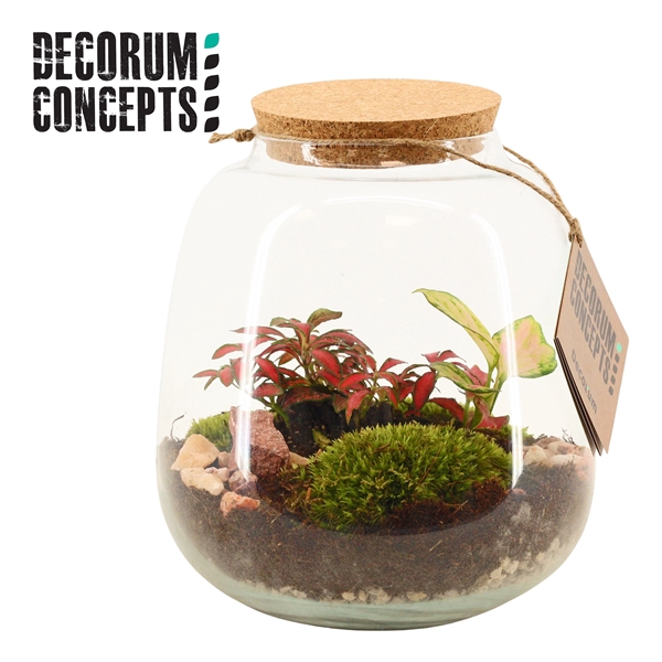 <h4>Terrarium Hyperion (Decorum concepts)</h4>