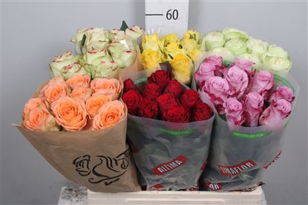 BOUQUET DOUZAINE DE ROSES CHOCOLAT 30GR – Dekora