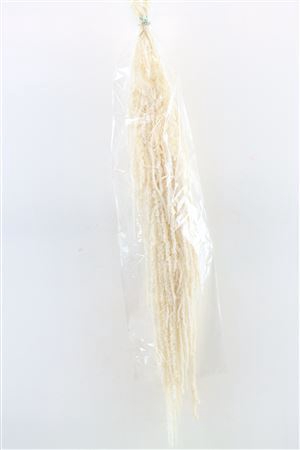 <h4>Pres Amaranthus Caud Bleached Bunch</h4>