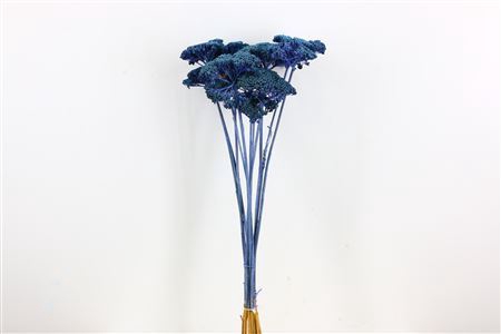 <h4>Dried Achillea Frosted Purple Bunch</h4>