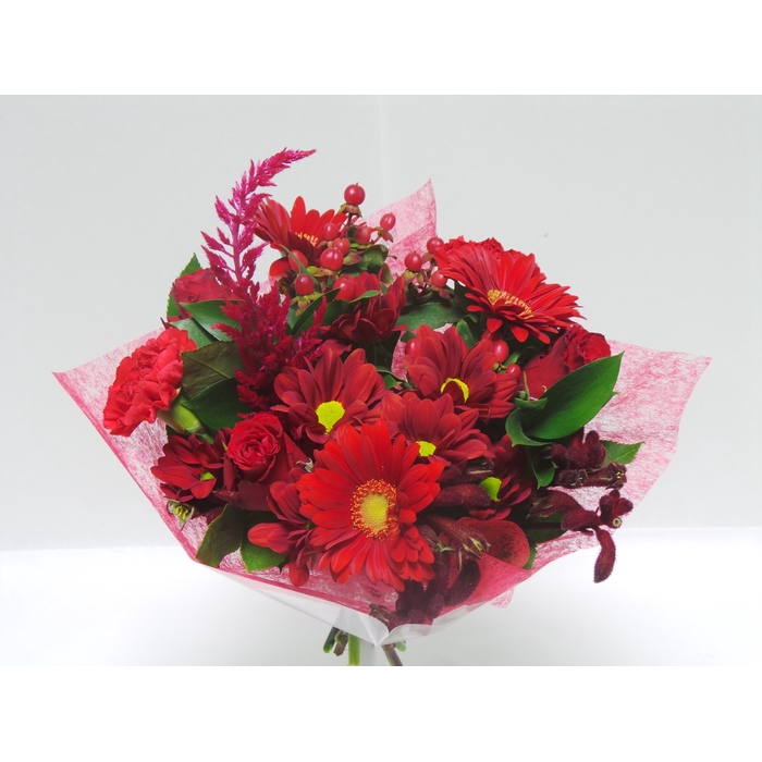 <h4>Bouquet Shorties Red</h4>