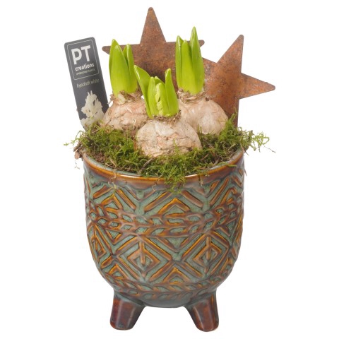 <h4>PTHCC8714 Arrangementen Kerst</h4>