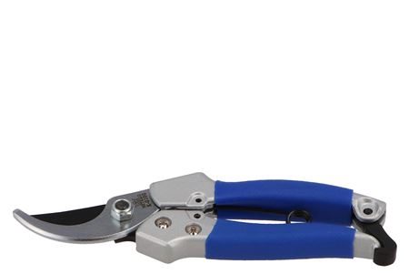 <h4>Bloemschikmateriaal Dames Snoeischaar</h4>