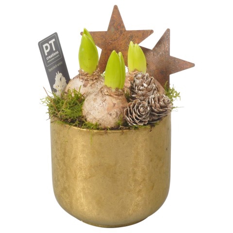 <h4>PTHCC8724 Arrangementen Kerst</h4>