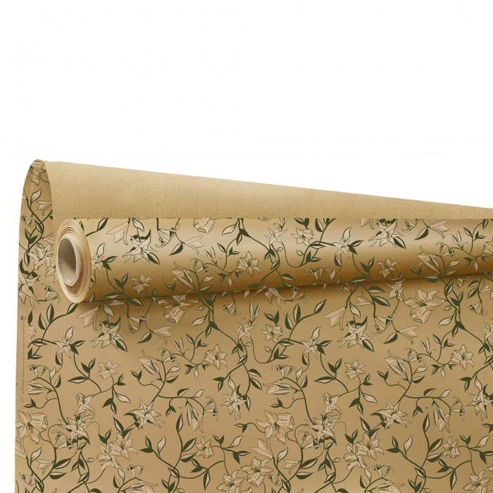 <h4>Paper Roll 80cm 25m Eco Isaure</h4>