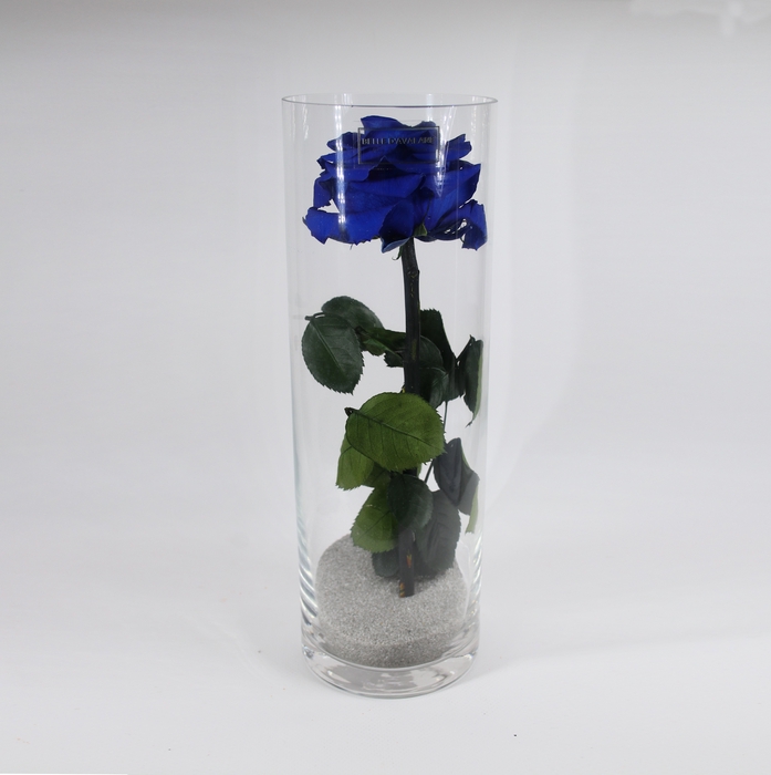 <h4>Cilinder d9x30h blauw glas</h4>