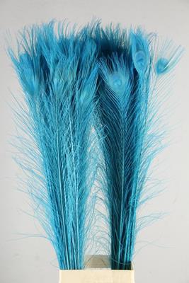 <h4>Feather Peacock Blue 110cm</h4>