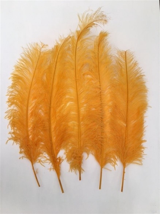 <h4>Basic Ostrich Feathers 55cm 5 Pcs Yellow</h4>