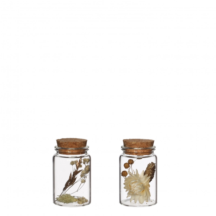 <h4>Dried flowers Glass+dried flower d04.5*07.5cm</h4>