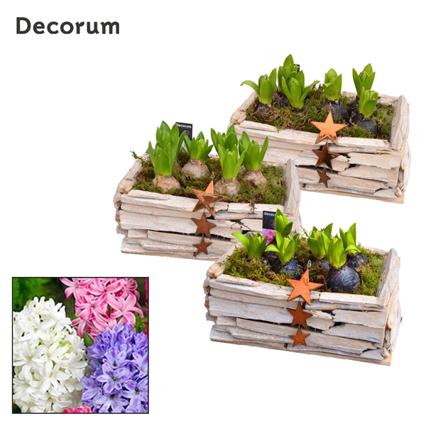 <h4>Hyacint Twigs Box HL17792 [PURE]</h4>