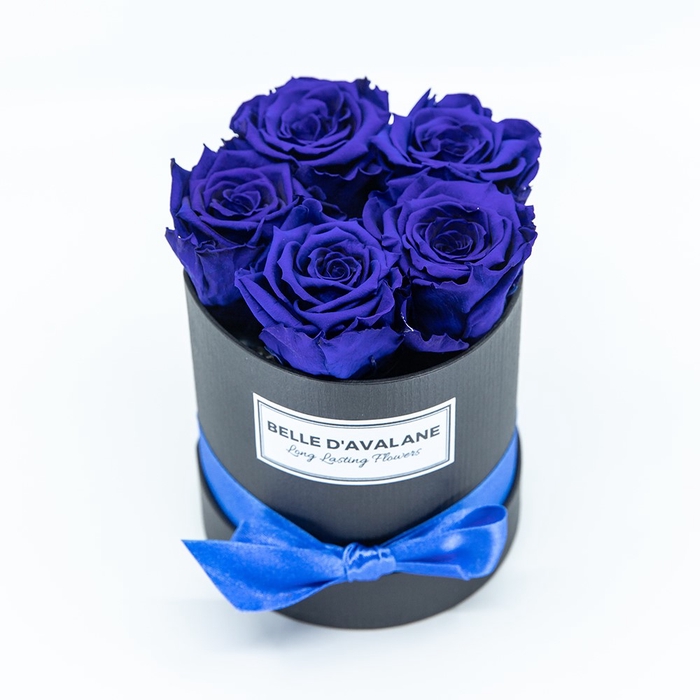 <h4>Box rd 12cm zwart-blauw</h4>
