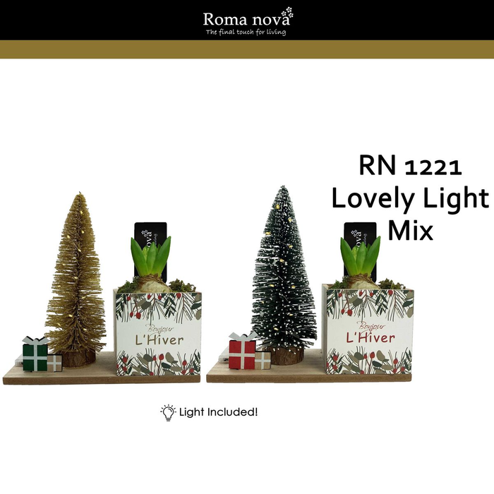 <h4>arr4 Hyacint RN1221 - Lovely Light Mix</h4>