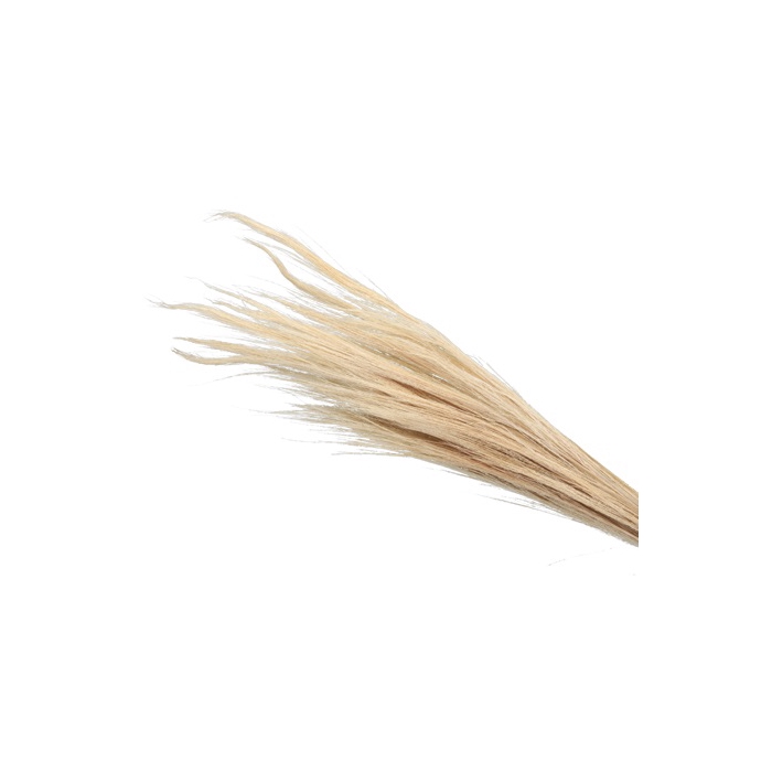 <h4>DRIED FLOWERS - BROOM GRASS 100GR BLEACHED</h4>