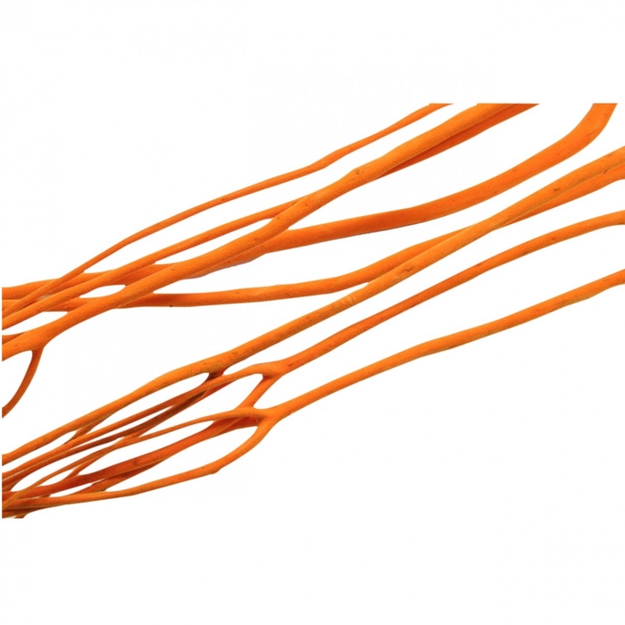 <h4>Dried articles Mitsumata flock 115cm x3</h4>