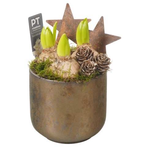 <h4>PTHCC8723 Arrangementen Kerst</h4>
