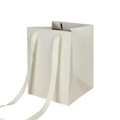 <h4>Bag Elegant carton 18x18xH25cm cream</h4>