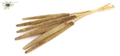 <h4>Babala on natural stem gold with glitter</h4>