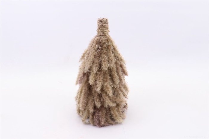 <h4>Dried Cone Fluffy Pampas D25.0h30.0</h4>