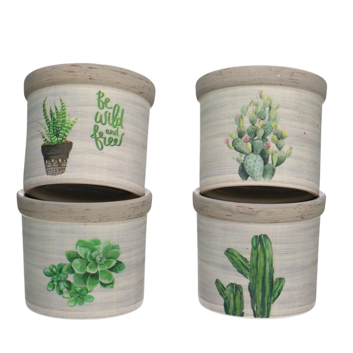 <h4>Keramiek Cactus Pot D08*7.5cm Ass.</h4>