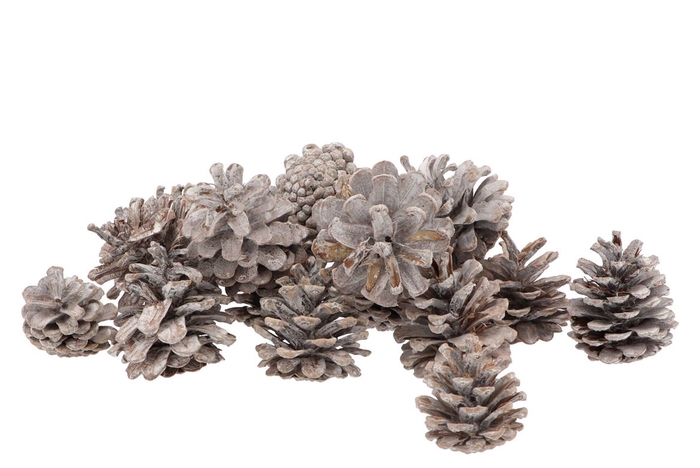 <h4>Natuur oosterijkers whitewash 5kg</h4>