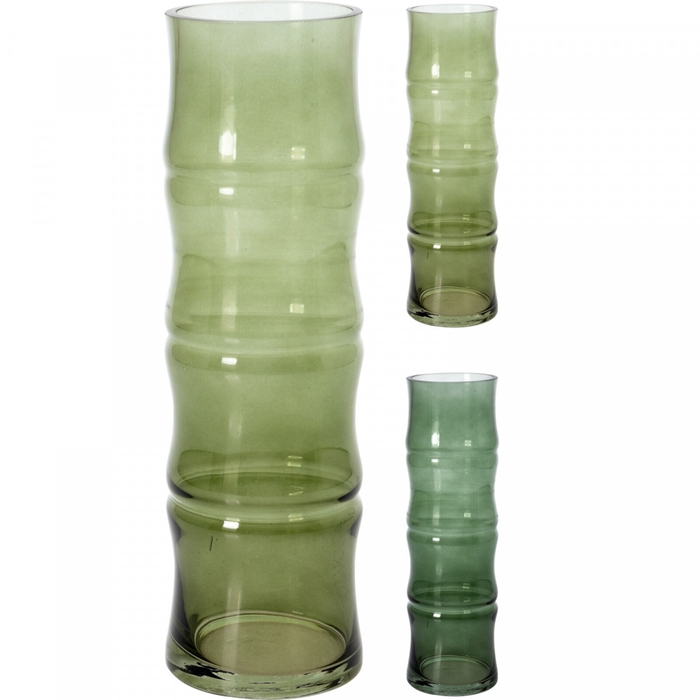 <h4>Glas Vaas bamboe d09*31cm</h4>